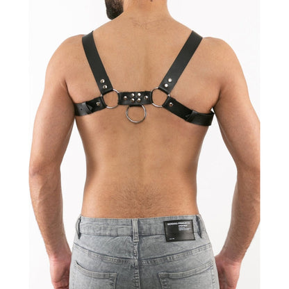 Harry's Nieten-Harness